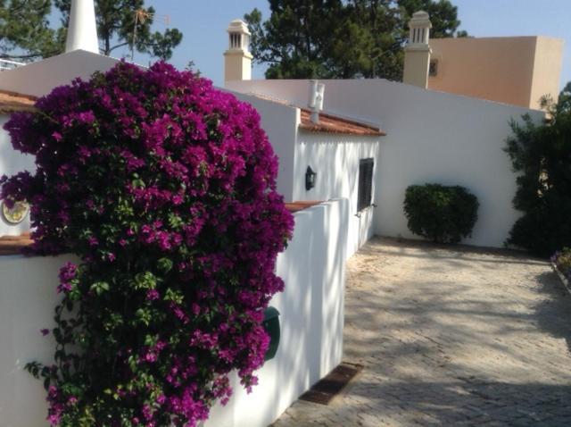 Casa Nicho Villa Vale do Lobo Dış mekan fotoğraf
